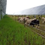 Projet solaire sur exploitation agricole