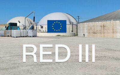 RED III : la directive européenne qui change la donne pour les producteurs d’énergie renouvelable